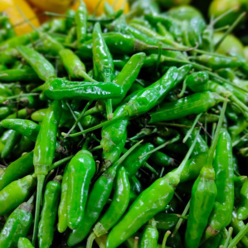 

Cabe hijau rawit 1 kg / cabe rawit hijau premium segar