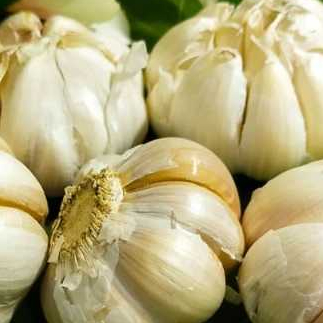 

Bawang Putih Berkualitas 1 kg (1000 gram)