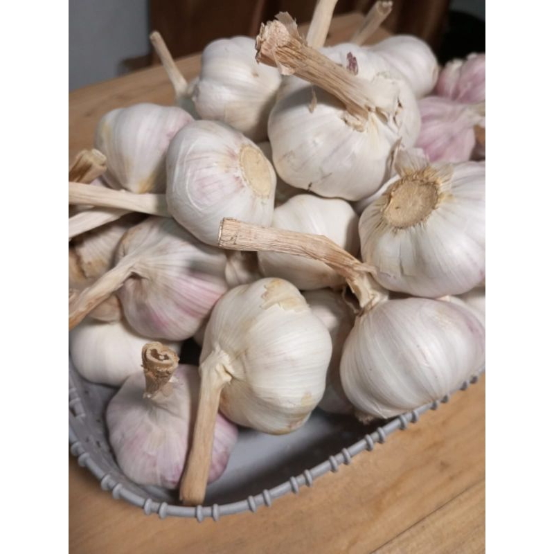 

bawang putih BL kupas