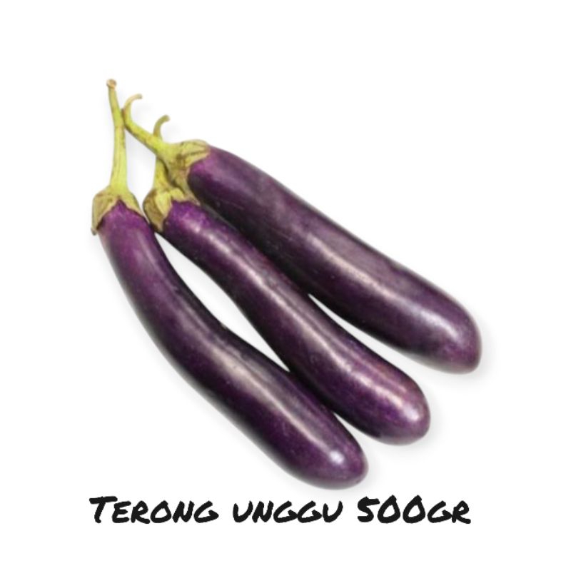 

sayur terong unggu 500gr