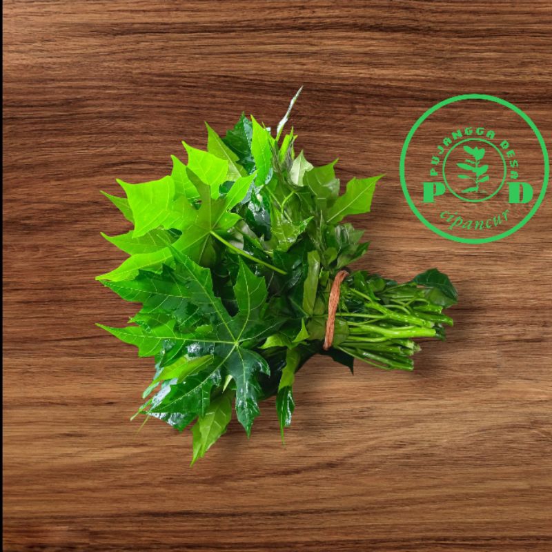 

Daun pepaya jepang/Daun muda pepaya jepang 1 ikat, sayuran kesehatan