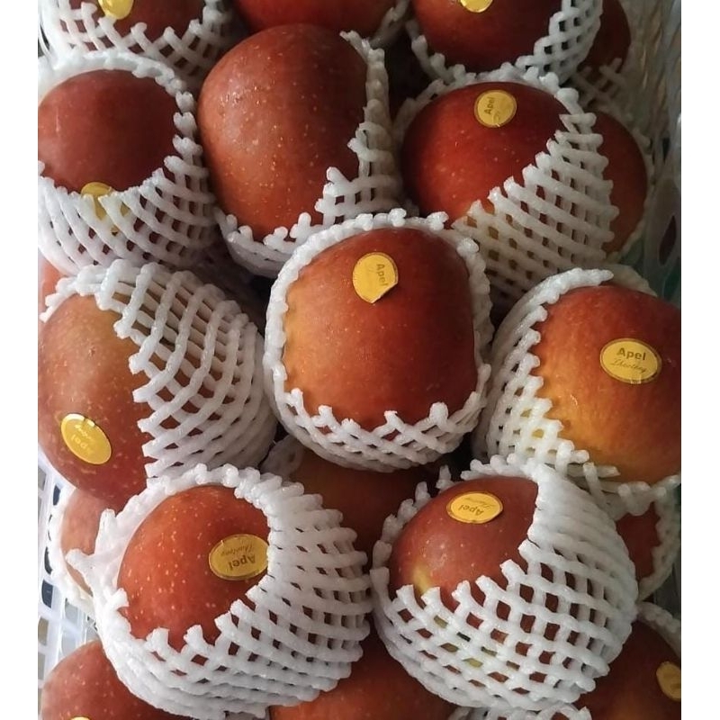 

Indukbuah Buah Apel China Manis Seger 1 Kg