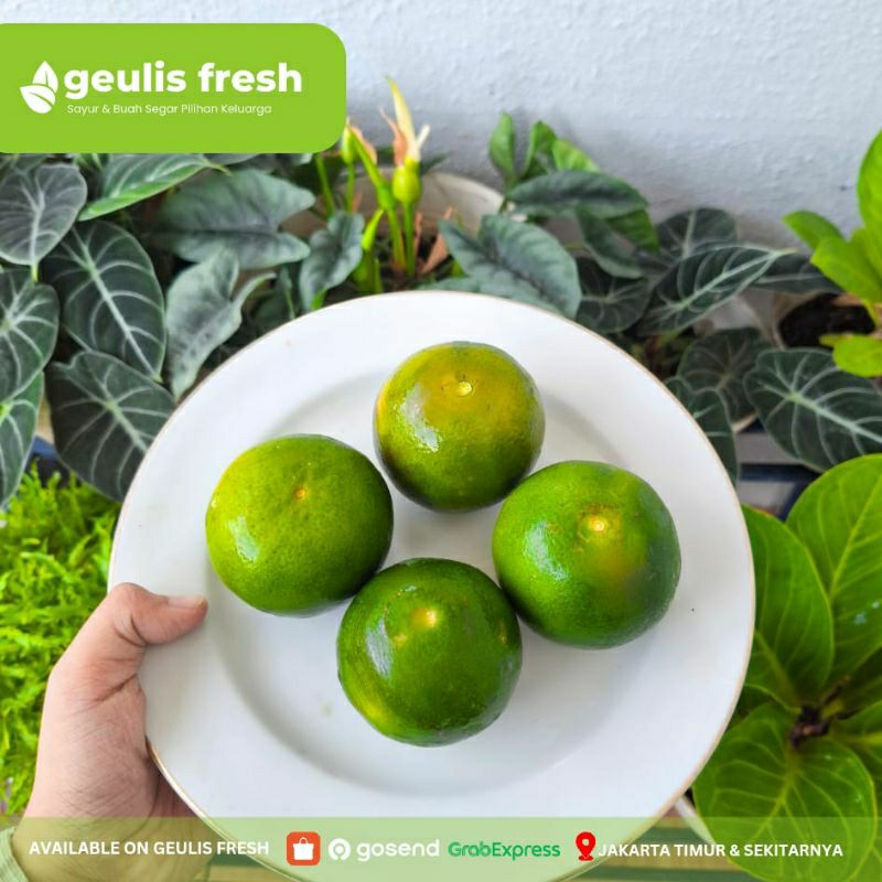 

Jeruk Peras 500gr | Jeruk Peras Jakarta Timur Geulis Fresh