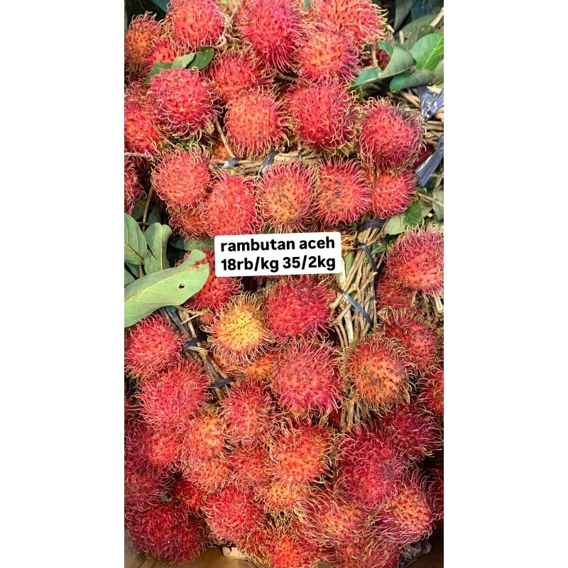 

Rambutan aceh