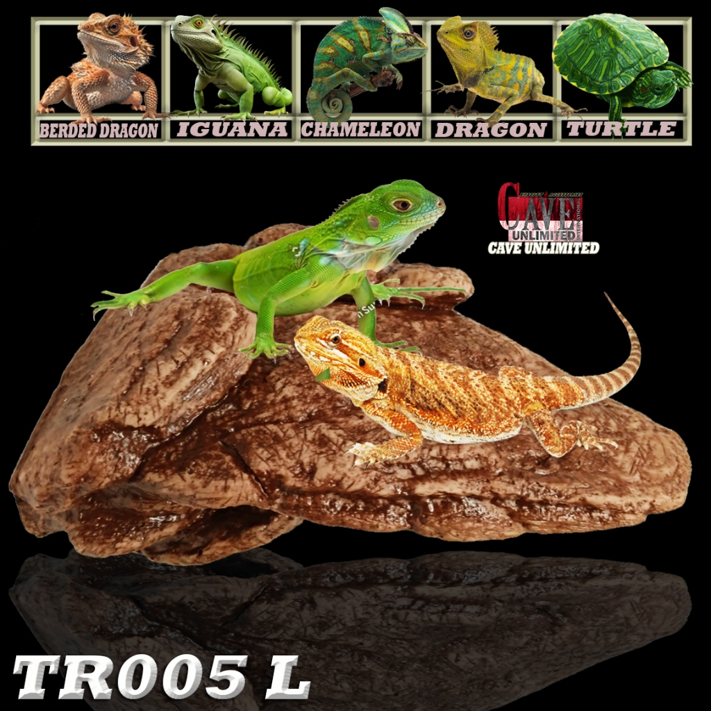 TR005 L BASKING SPOT RAMP ELEVETED OUTCROPS TANGKRINGAN KADAL TEMPAT BERJEMUR HEWAN REPTILE LIZARD B