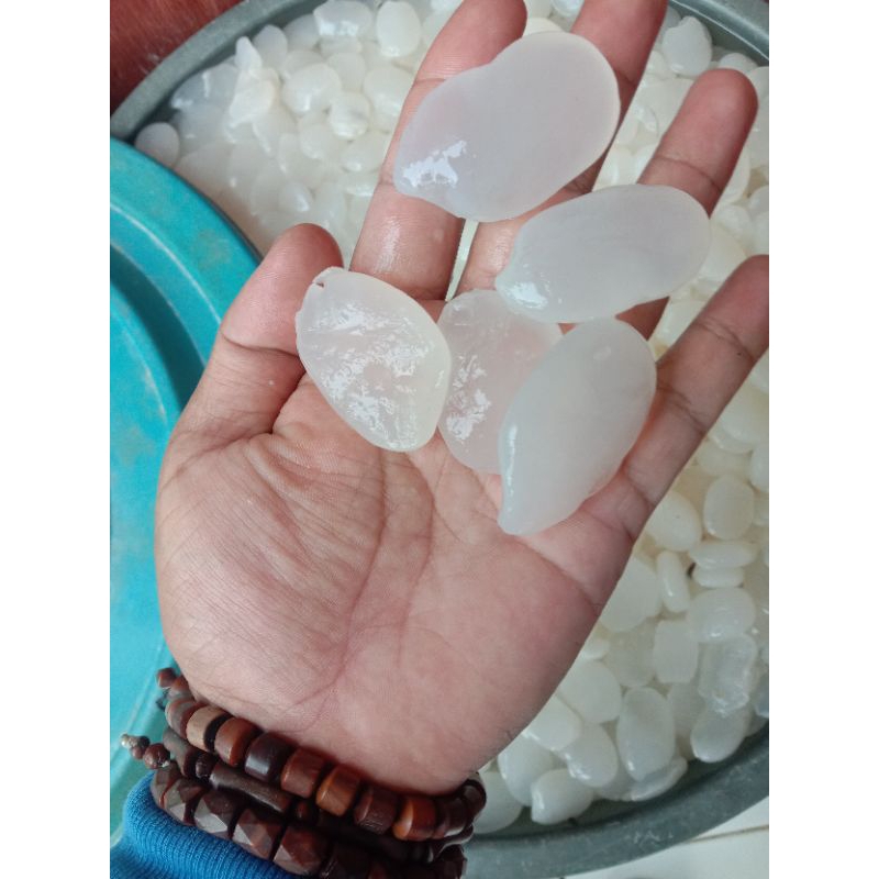 

kolang Kaling super fresh(tidak sama ukuran )