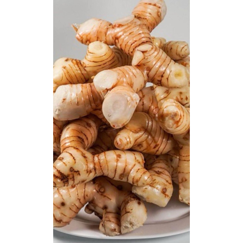 

Lengkuas segar 1 kg