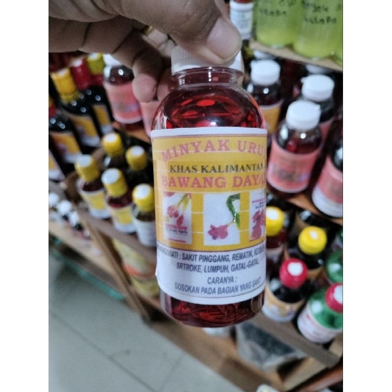 minyak urut bawang dayak