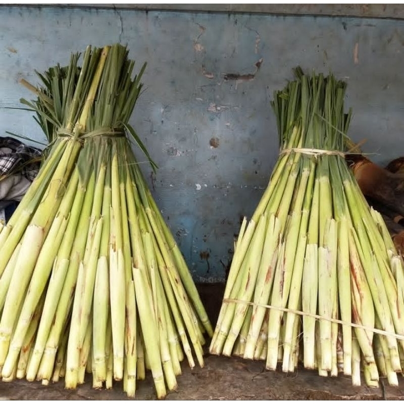 

TOKO ABDI 1kg Telur Tebu Tebu Telur Terubuk Manis Terubuk Sayur