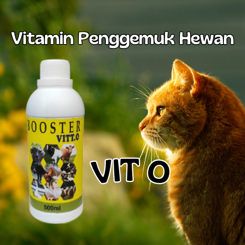 Vitamin penggemuk Kucing Penambah nafsu makan anak anjing Vit Bulu Lebat Obat Gemuk kucing anjing