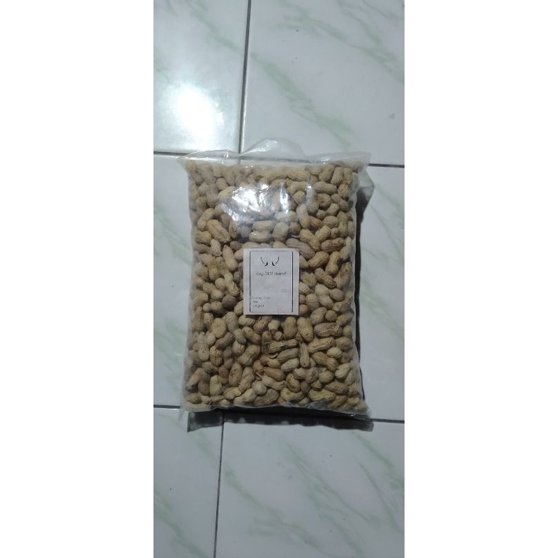 

KACANG KULIT ASIN OVEN 500GR