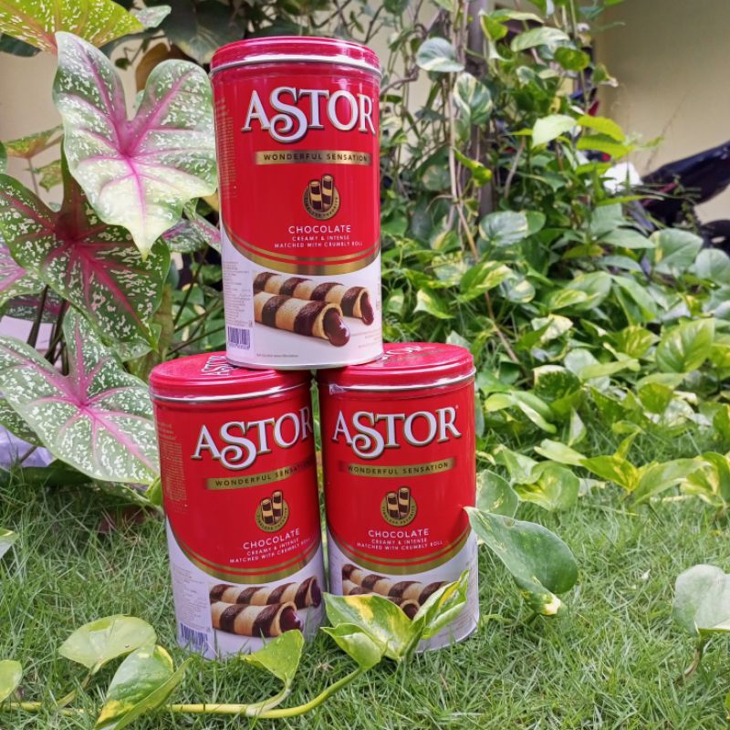 

Astor Wafer Stik Coklat Kaleng 330g