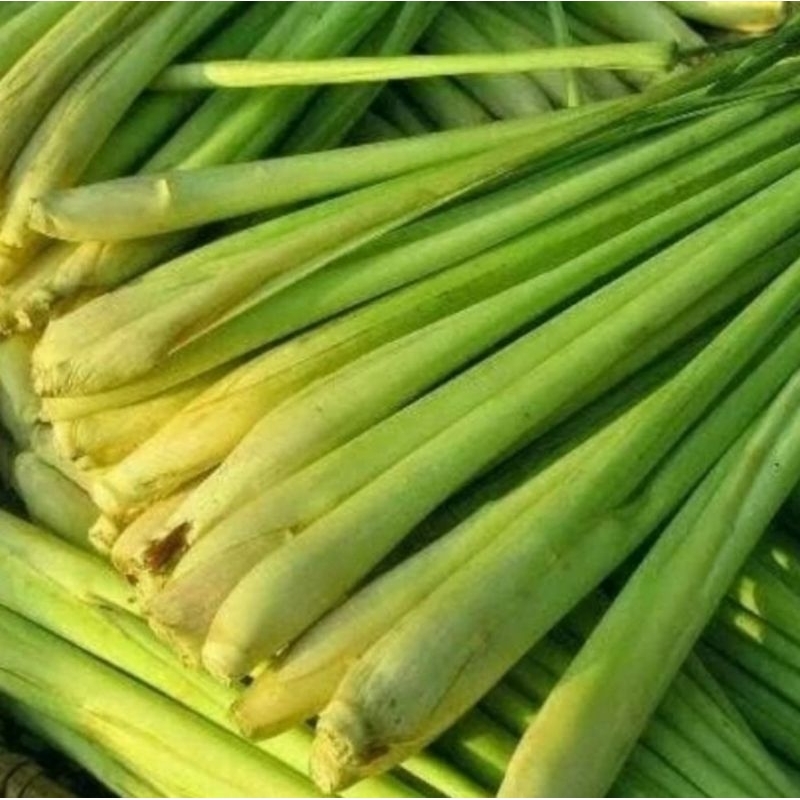 

Sereh segar fresh 100 gram