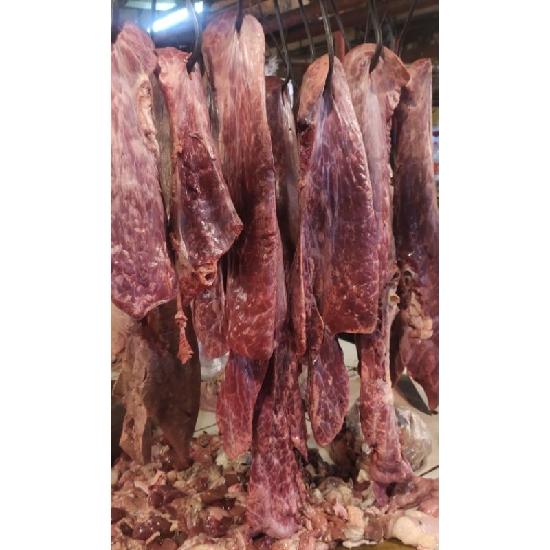 

Paru Sapi Lokal