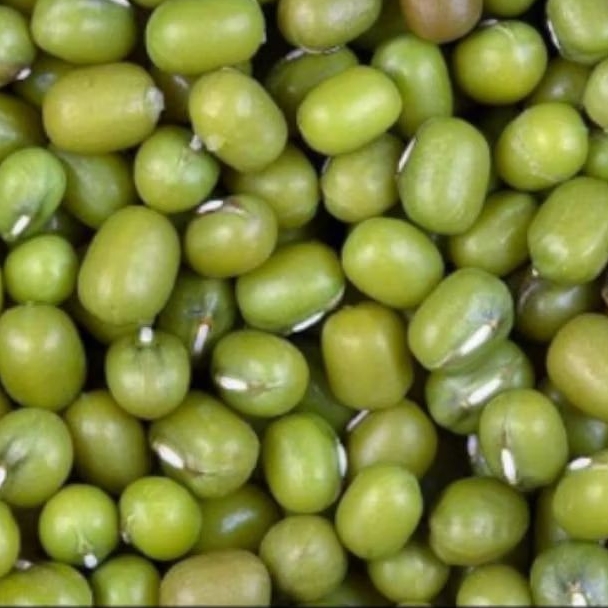 

KACANG IJO
