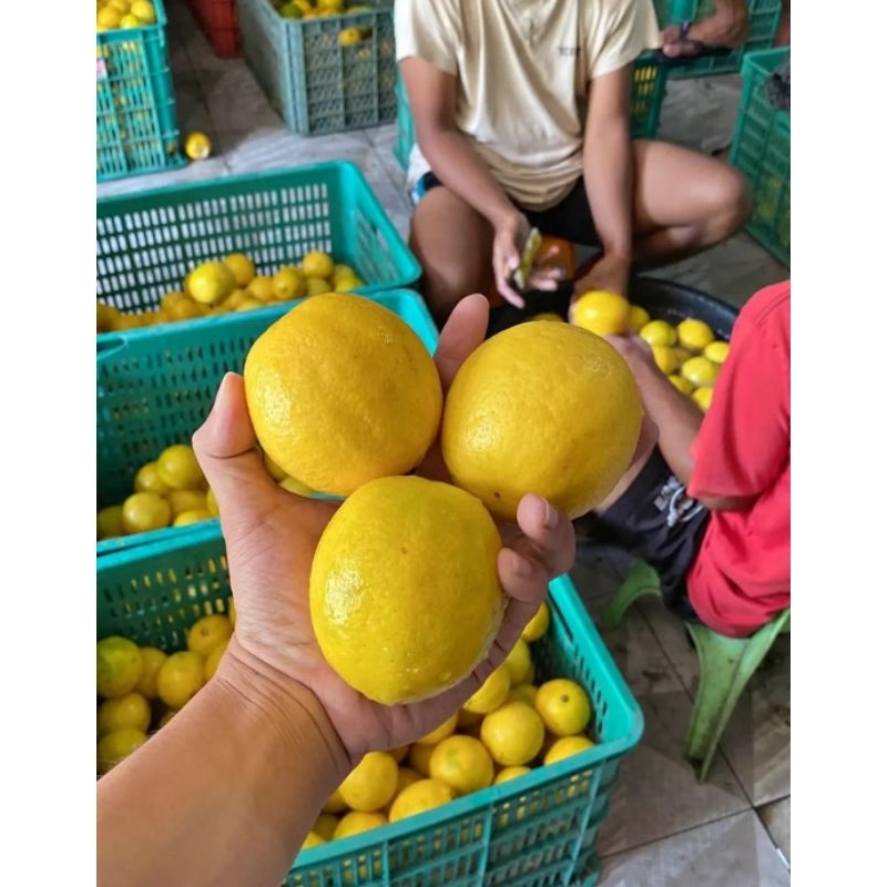 

Jeruk lemon California