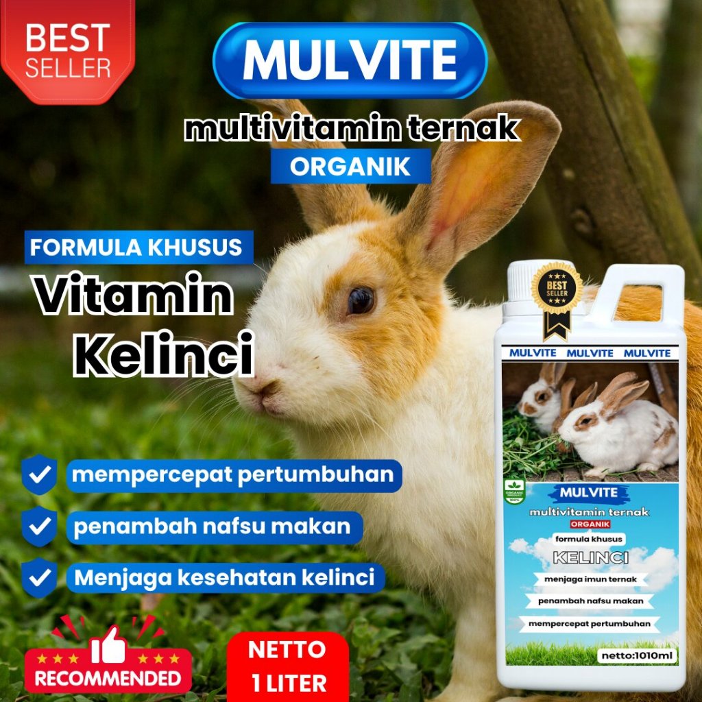 MULVITE Vitamin Probiotik Vitamin Suplemen Kelinci Hias Anggora Fuzzy Lop Holland Netherland Dwarf K