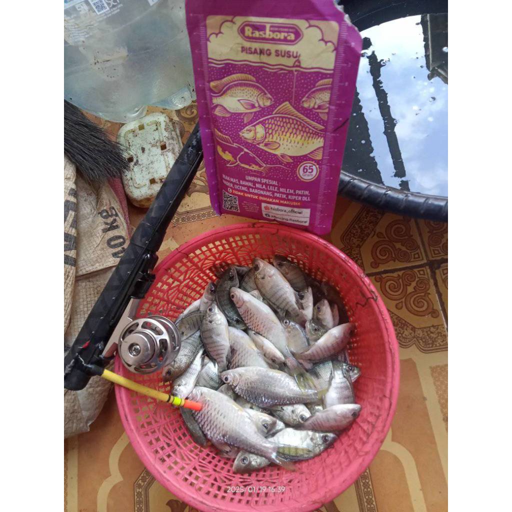 Umpan Rasbora 65gr - Umpan Pelet Waderan Uceng Nilem Tawes Ikan mas Umpan Microfishing Umpan Serbuk