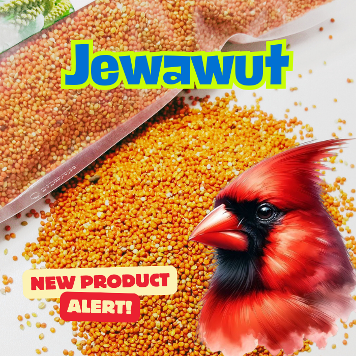 Pakan Burung Biji Jewawut Biji Kunyit Premium For Kenari Finch Lovebird Perkutut 500 Gram