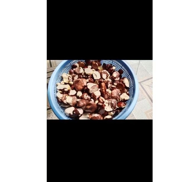 

Gayam mentan segar utuh utuh - gayam mentah segar utuh utuh