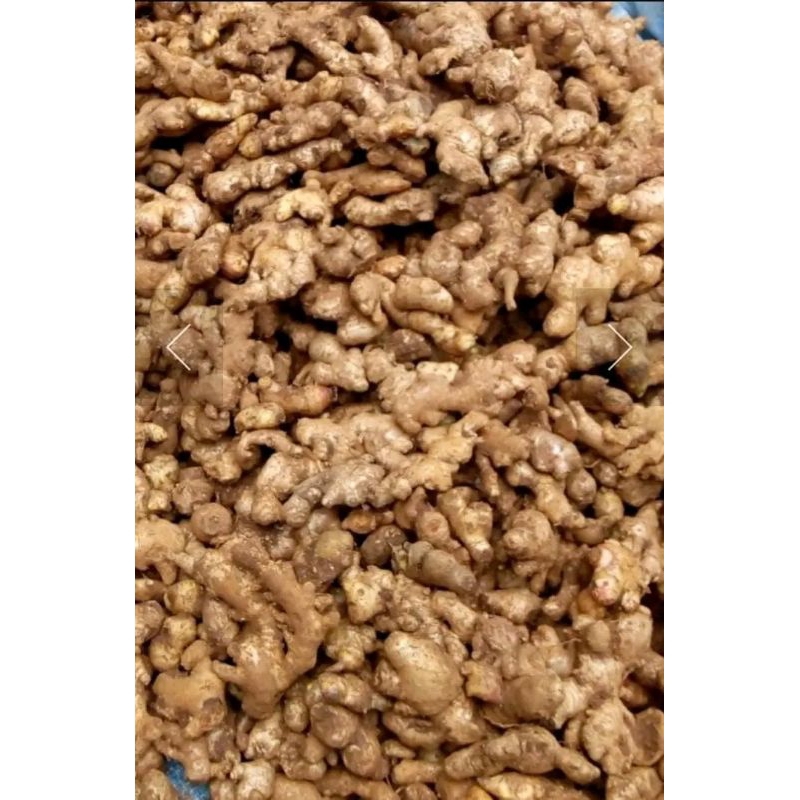 

Jahe emprit 1 kg