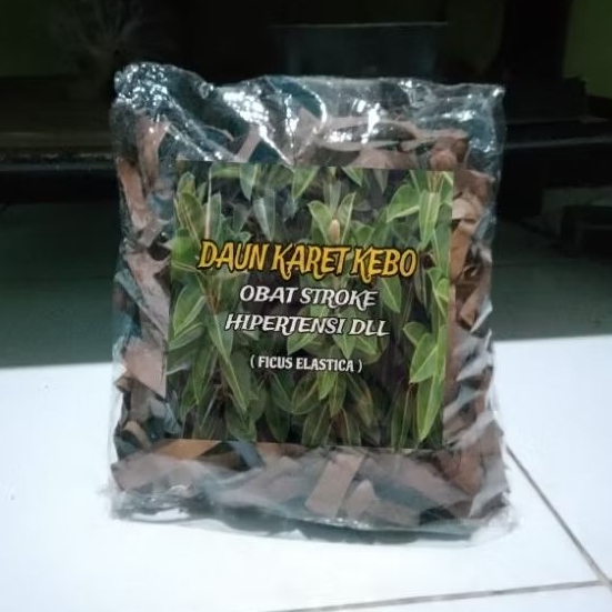 

MURAH !! Daun Karet Kebo Kering Siap Seduh | Obat Stroke,Hipertensi,Keputihan Dll (isi10gram)