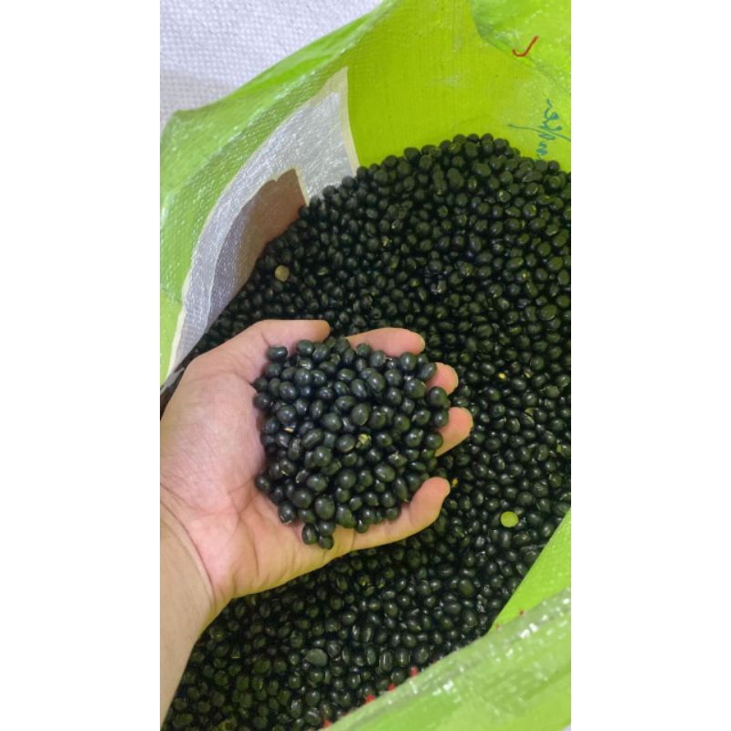 

Kacang Hitam / Kedelai Hitam / Black Bean / Kacang Kedelai Hitam