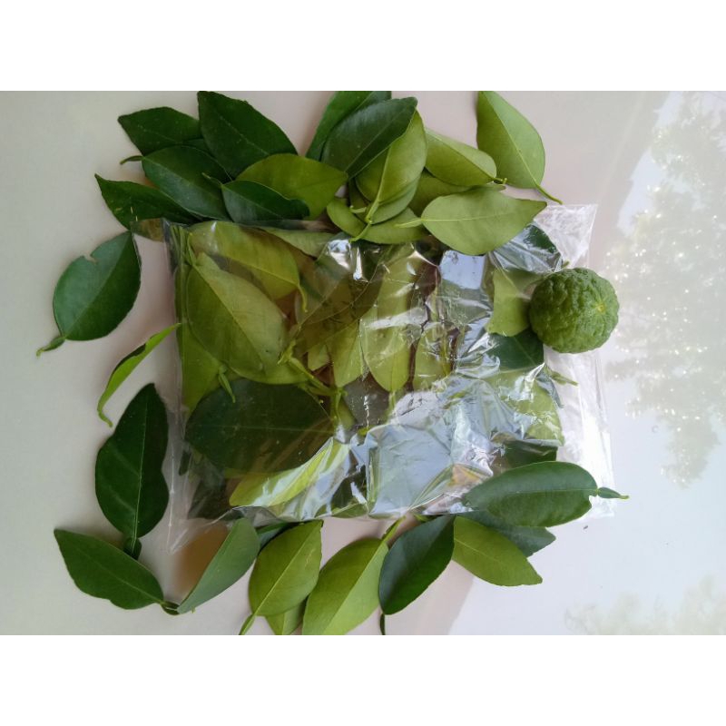 

daun jeruk bumbu masak