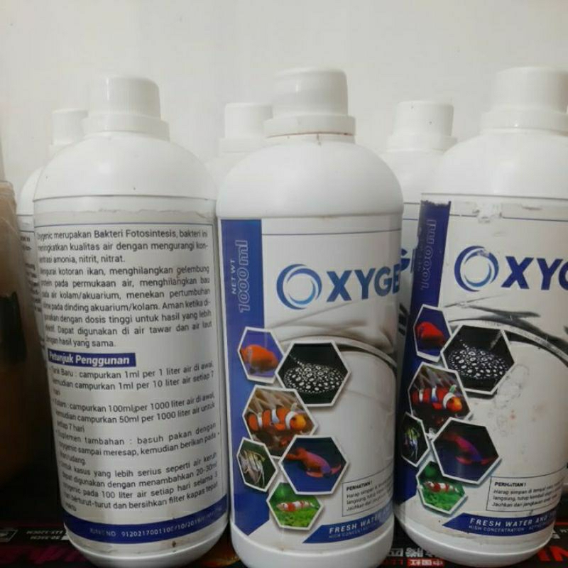 oxygenic/bakteri fotosintesis