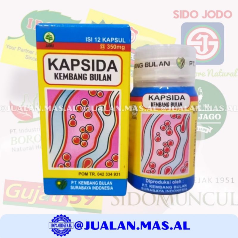 KEMBANG BULAN - KAPSIDA / BERSIH DARAH KAPSUL