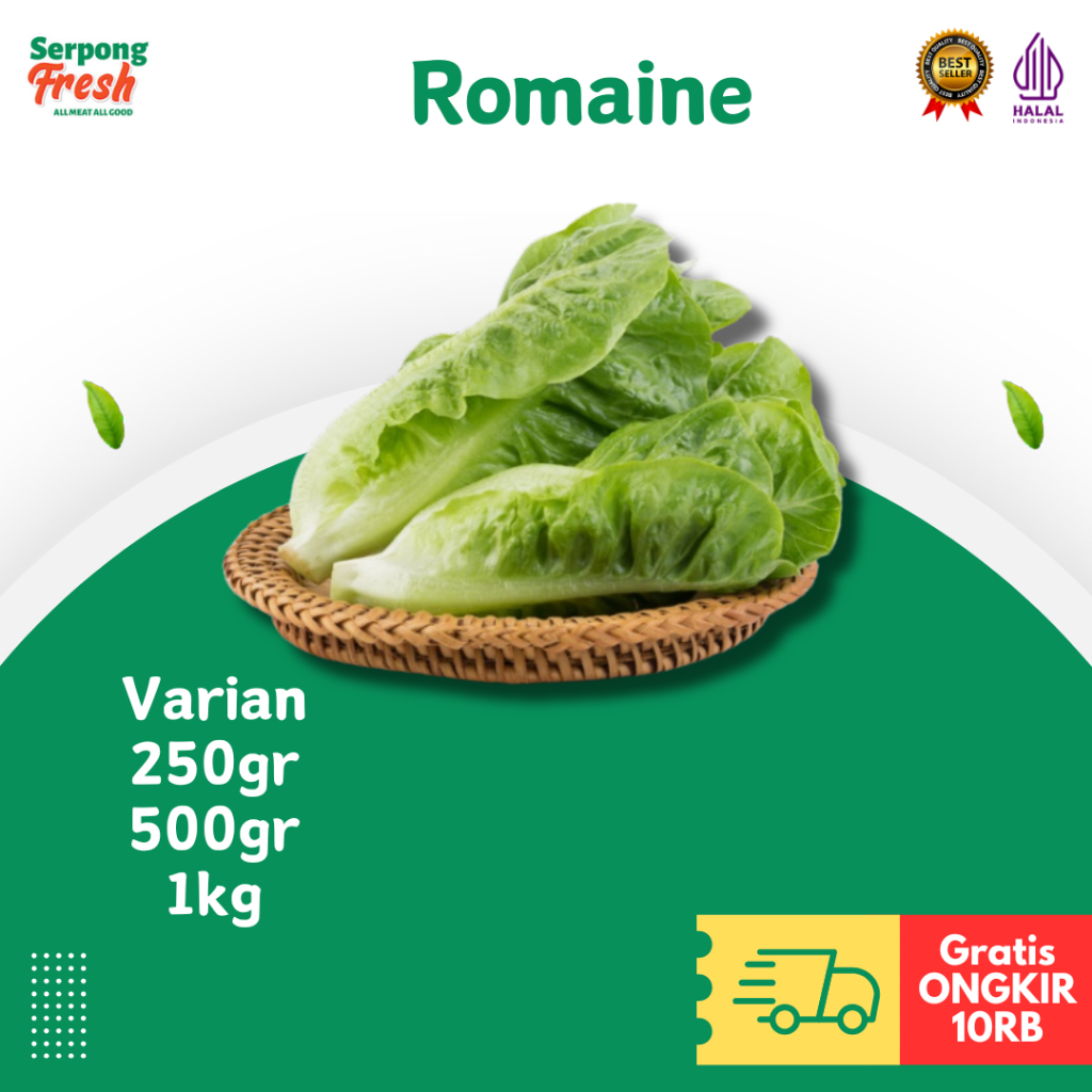 

Romaine 250gr 500gr 1kg Sayuran Segar Fresh