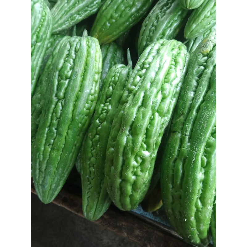 

Pare | Pare merah | Paria | sayur pare | timun Afrika | Momordica