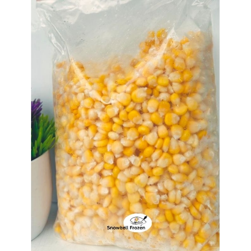 

[TERMURAH] Jagung pipil 1Kg