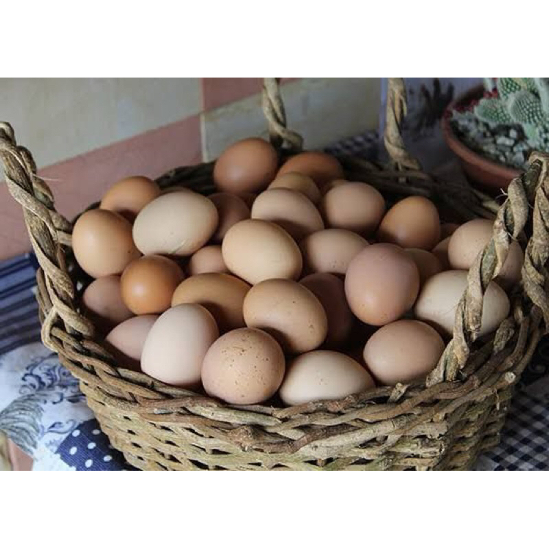 

telur ayam negri/nusantara 1kg fresh