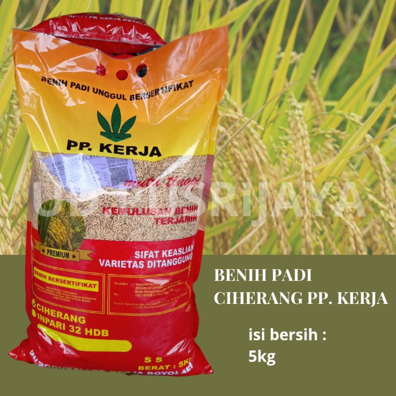 Benih Padi PP. KERJA CIHERANG PREMIUM kemasan 5 kg