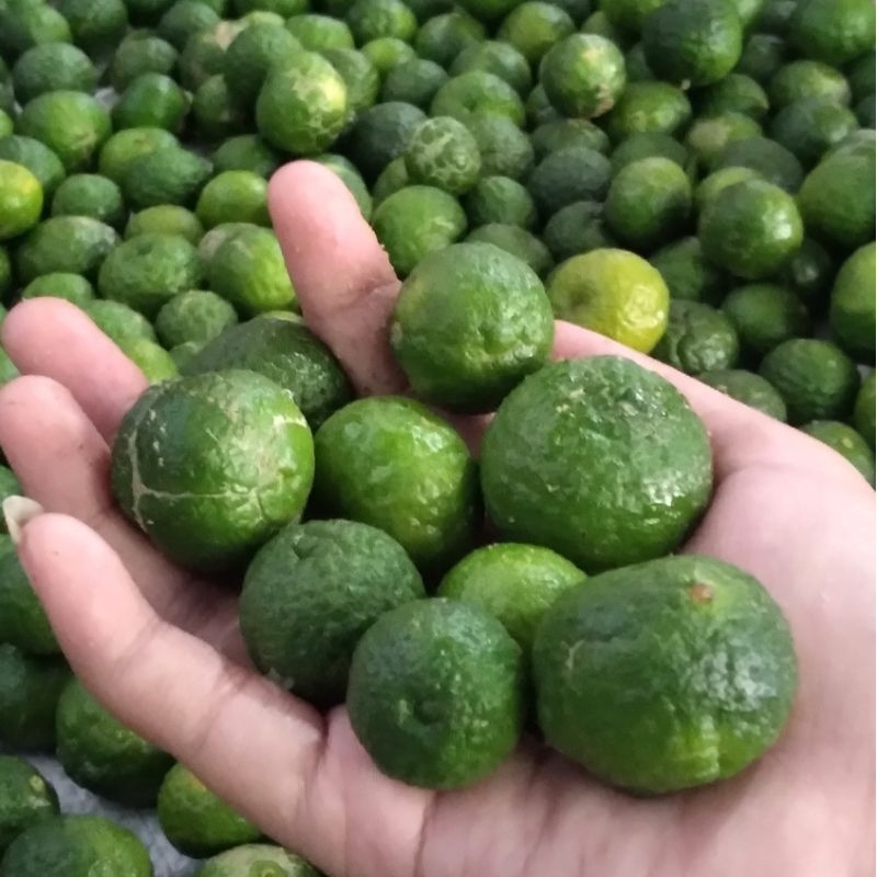 

Jeruk limau fresh 5kg (5000g)