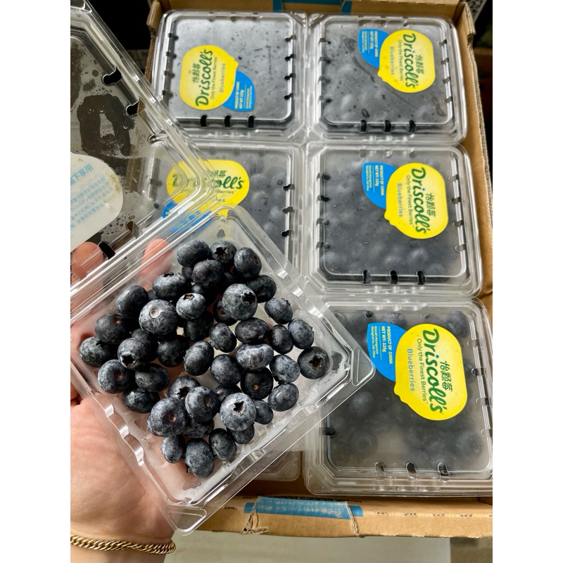 

BLUEBERRY PACK DRISCOLLS