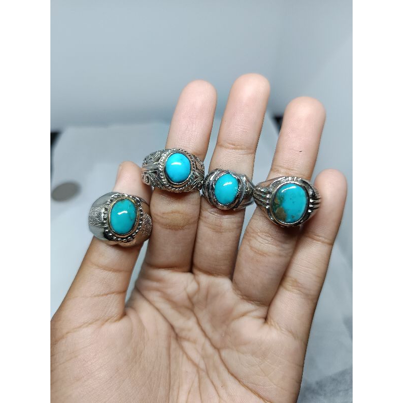 natural pirus persia biru fancy