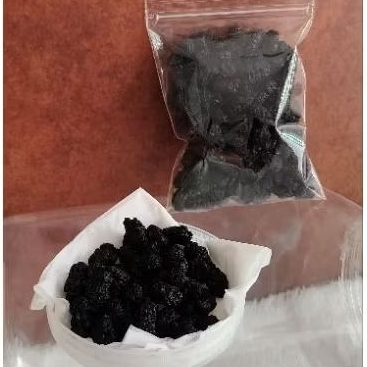 

Blueberry Kering Dried Blueberry 100gr