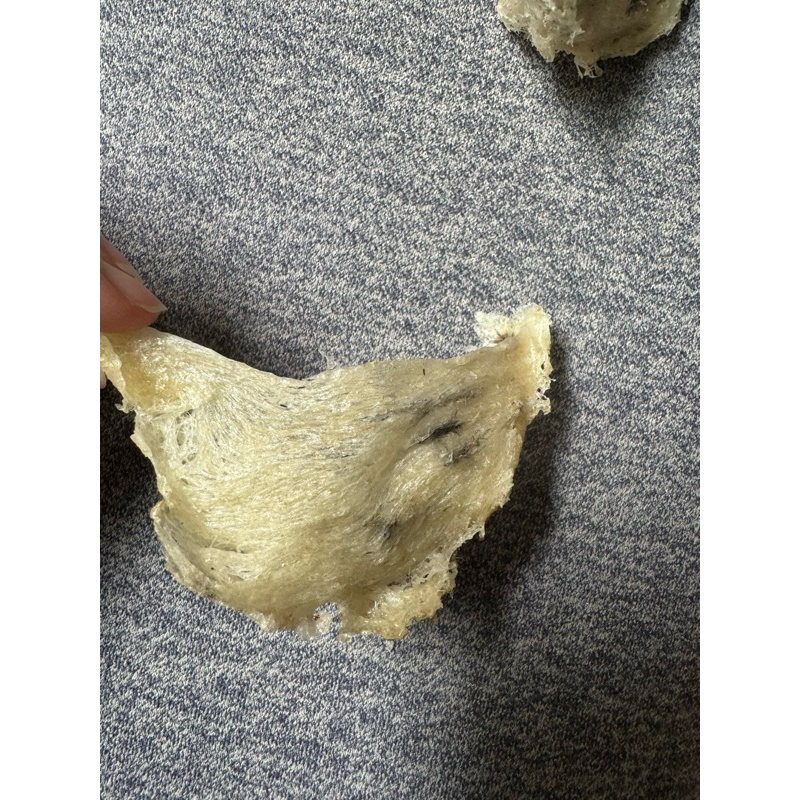 

Sarang Burung Sudut(Yenwoo) asli /1 gram