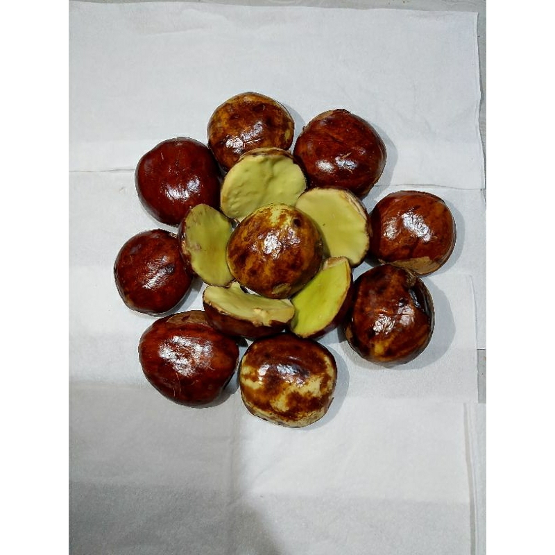 

Jengkol Mentah