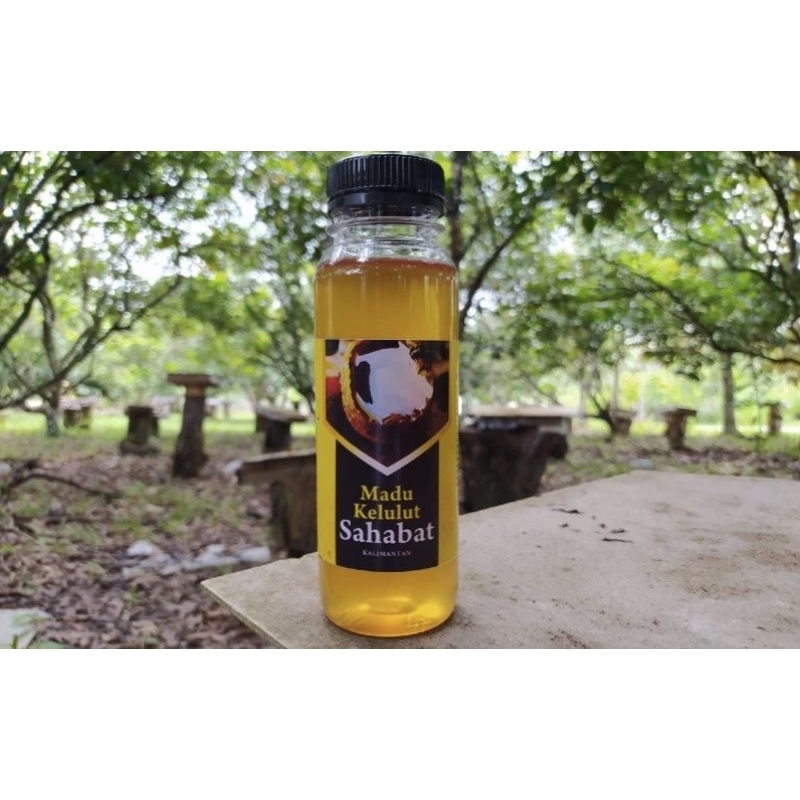 

madu kelulut asli kalimantan