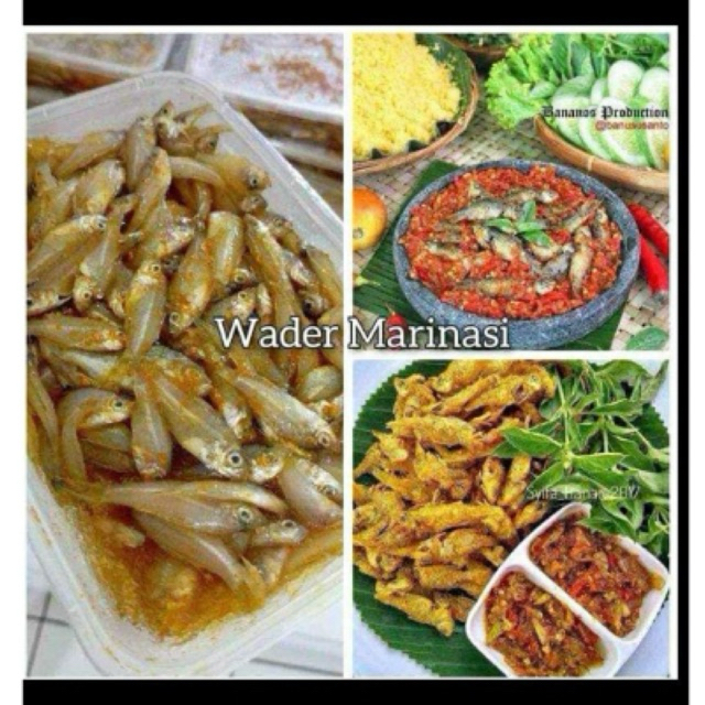 

Ikan wader marinasi 500 gram siap goreng lezat