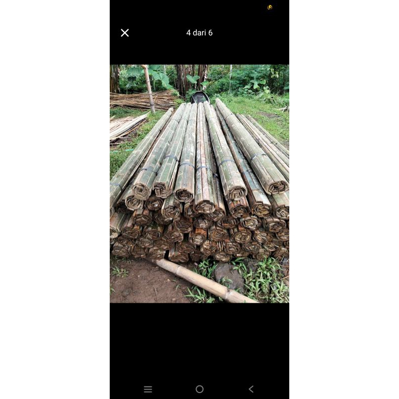 Bambu bilah Petung Panjang 3 meter