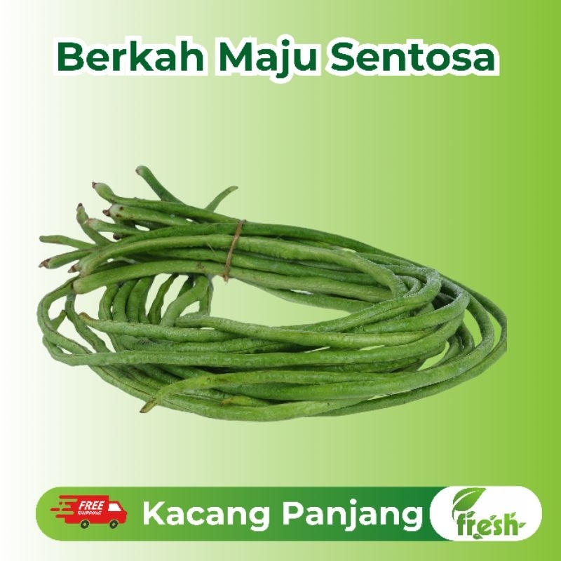 

[INSTANT] Kacang Panjang Fresh 1 Ikat