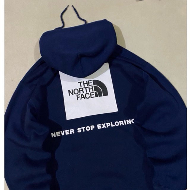 hoodie the north face second