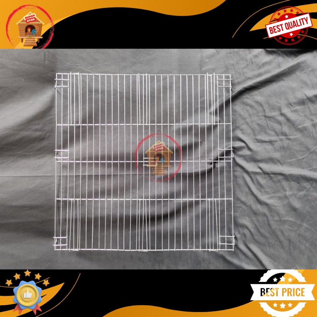 Pureblies_ Ancak Kotak Galvanis