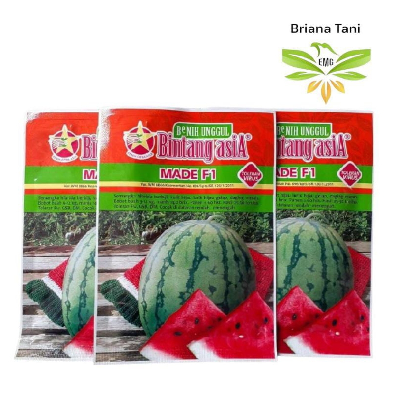 Made F1 20gr Benih Semangka Hibrida Bulat Bintang Asia Madeira Diva seharga