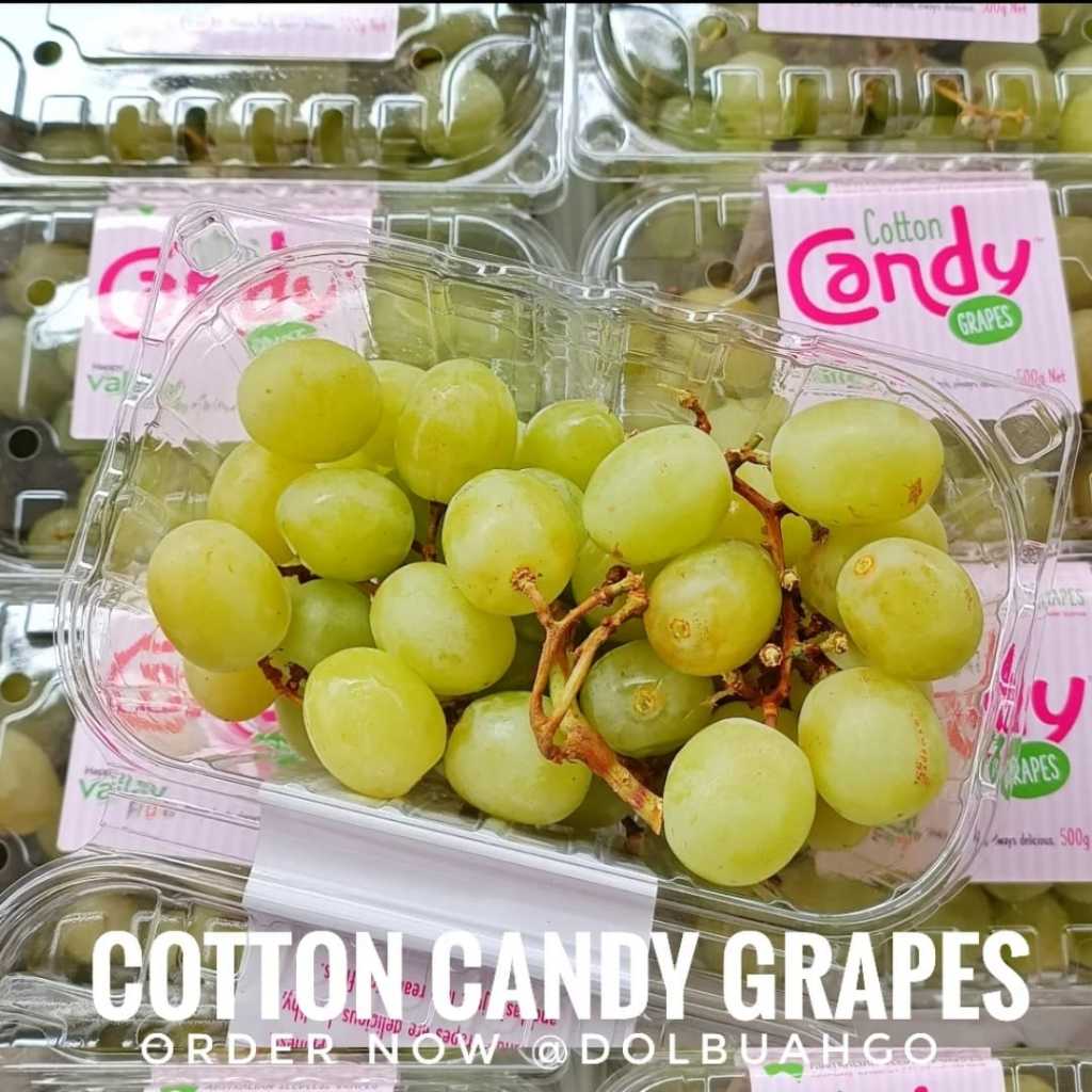 

Anggur Green Cotton Candy Manis Harum - INSTAN SEMARANG - DolBuah