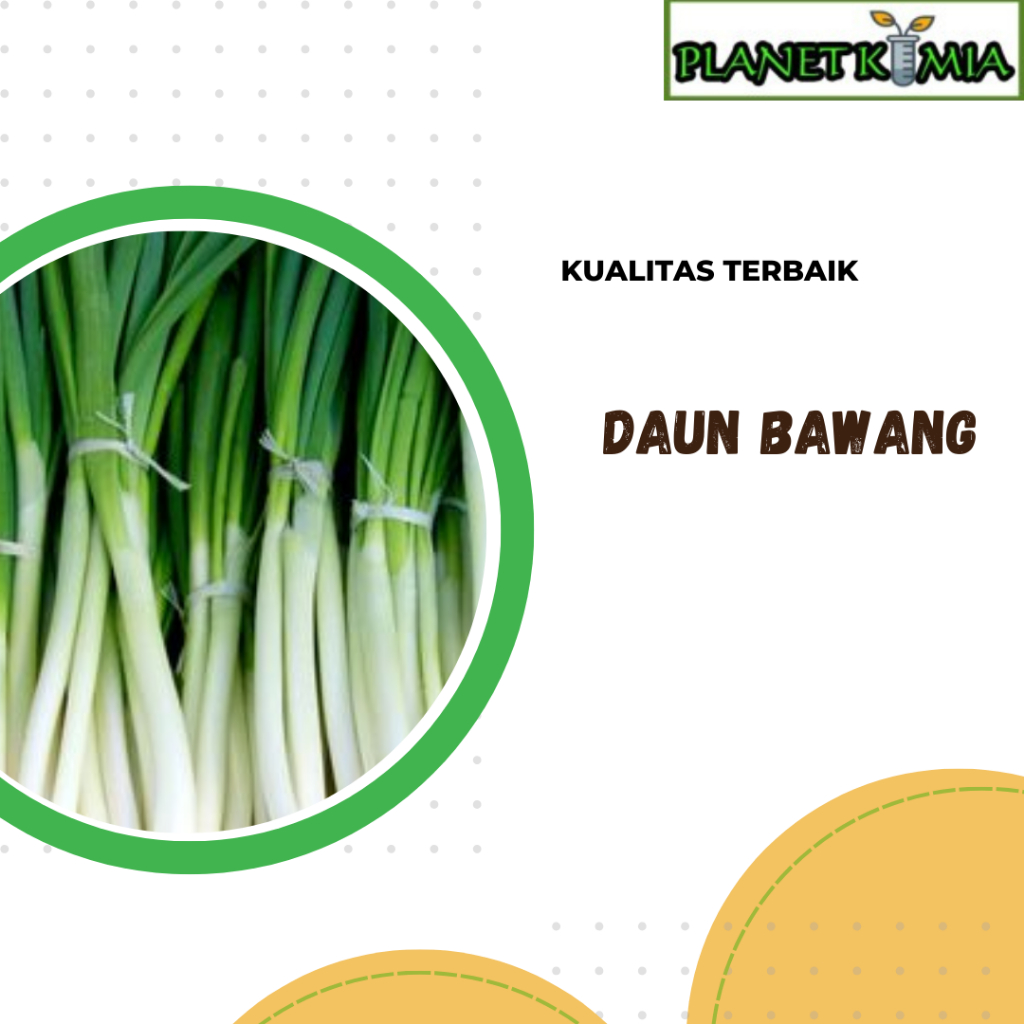 

dried,serbuk daun bawang best product